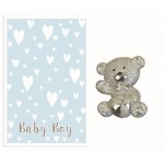 Baby Delights Charm - Baby Boy (6 pcs) BDE015
